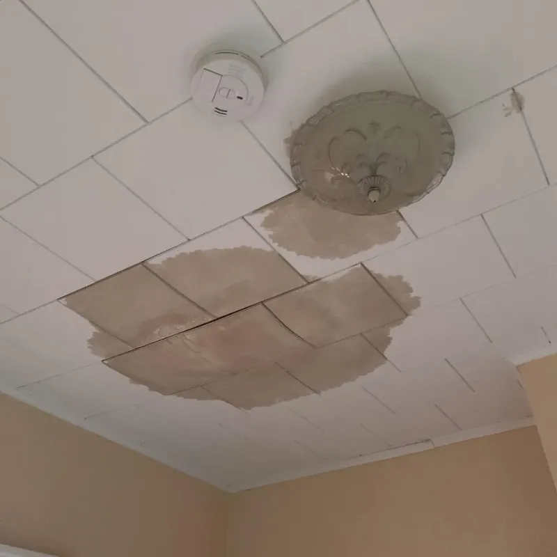 Ceiling Water Damage Repair in Rogers, TX