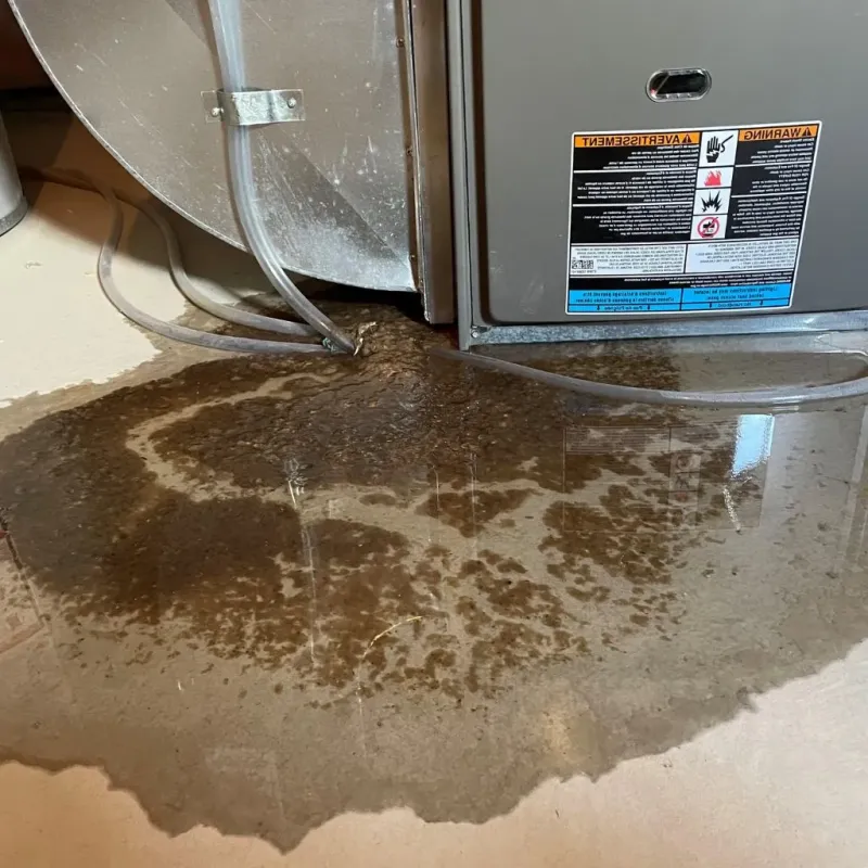 Pipe Burst and Leak Restoration in Rogers, TX