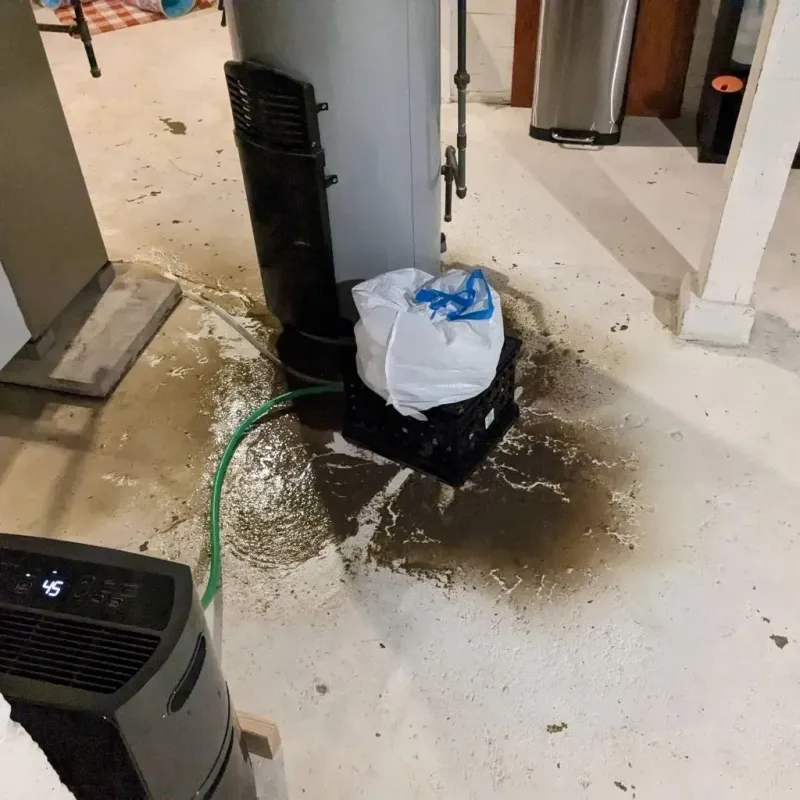 Sewage Backup Cleanup Service in Rogers, TX